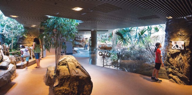 Structural members and mechanical systems are hidden as much as possible-in some cases, artificial tree trunks or rock formations are strategically placed to encapsulate columns or air ducts.