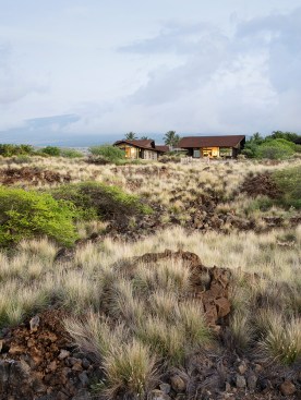 Makani Eka