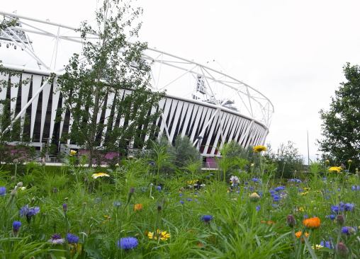 The stadium with a bit of landscaping