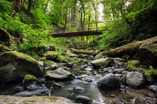 Wildwood Trail Bridge