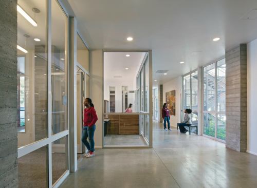 Extensive glazing allows for views between many of the lower-level spaces.