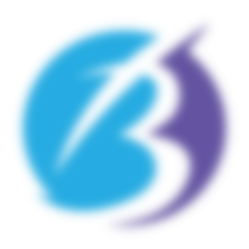 Blue Line Healthcare Solutions
