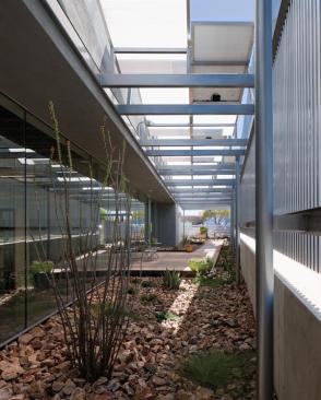 The entry garden seen from the north.