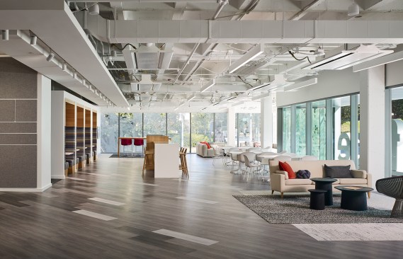 Reception area and dynamic working cafe that acts as a lounge for employees