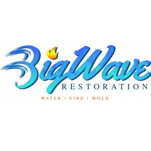 Big Wave Restoration