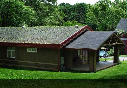 Back View