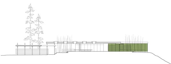 The project in section.