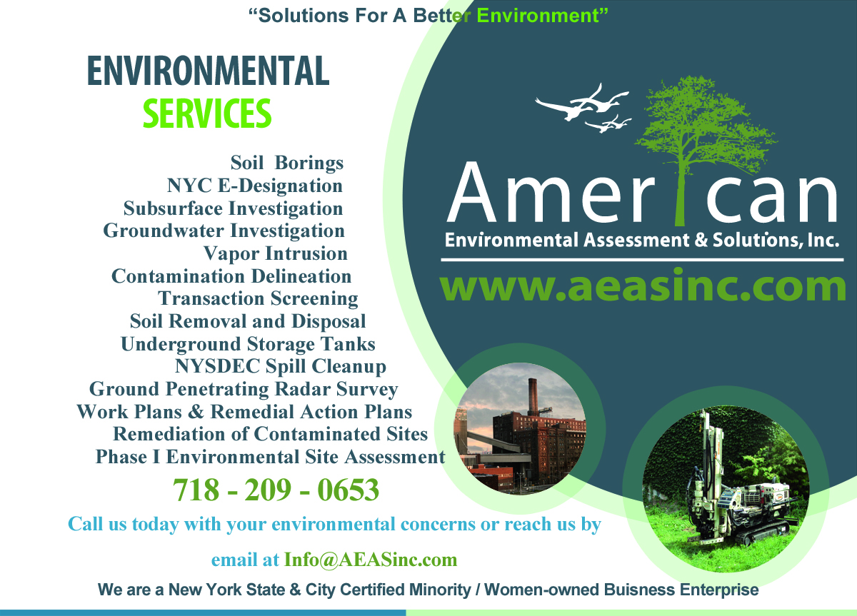 American Environmental Assessment & Solutions, Inc.