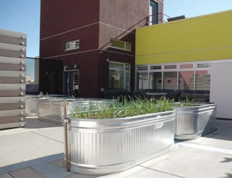 Up on the roof (left and below), residents soak up the sun and tend container gardens. The lobby (bottom left and right) is bracketed by greenery in front and back, creating a respite from the busy street.