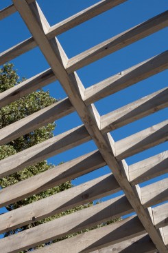 Trellis
