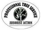 Jacksonville Tree Service Experts