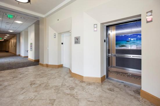 LEVELe-102 Elevator Interiors with LightPlane Panel in ViviGraphix Spectra glass with custom pattern interlayer and Standard finish; main panels in Bonded Aluminum with Dark Patina and Grass pattern; large accent panels in Stainless Steel with Sandstone finish; small accent panels in White Birch wood veneer at Florida Hospital Celebration Health, Celebration, Florida