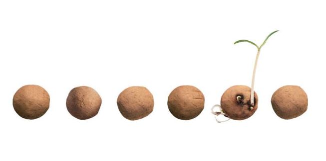 Guerilla gardeners will love this six-pack of environmental “weapons,” each made of compost, clay, and 500 annual and perennial seeds. Comes in 6 regionally appropriate mixes, for tossing into a vacant lot near you. • $7.90, kaufmann-mercantile.com