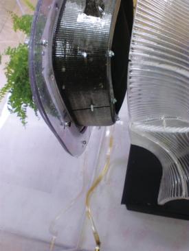 Plants are installed, and the test system is assembled.