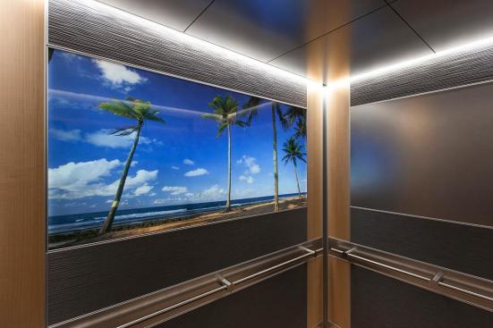 LEVELe-102 Elevator Interiors with LightPlane Panel in ViviGraphix Spectra glass with custom pattern interlayer and Standard finish; main panels in Bonded Aluminum with Dark Patina and Grass pattern; large accent panels in Stainless Steel with Sandstone finish; small accent panels in White Birch wood veneer at Florida Hospital Celebration Health, Celebration, Florida