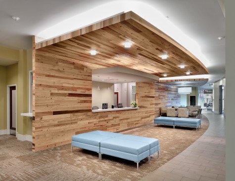 Site harvested wood was used as wall accents.