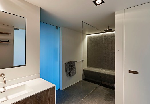 CASTORFIBERarchitecturestudio, bathroom view 01