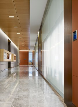 Conference Room Facades