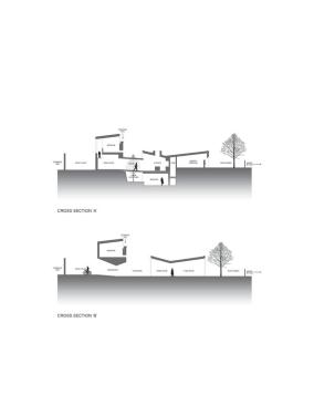 Transverse+sections.
