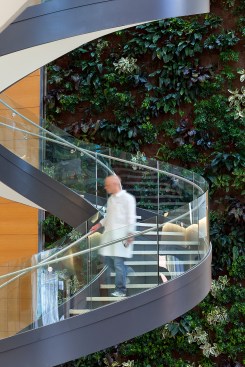 Helical stair sweeps past the biofilter living wall at Papadakis Integrated Sciences building