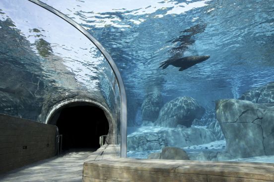 First Marine Mammal Tunnel in N. America
