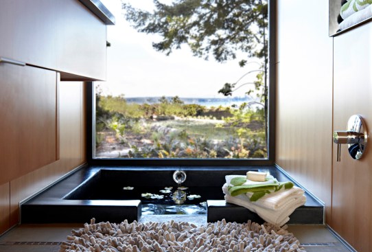 Platinum House bath