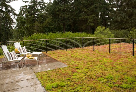 Platinum House green patio