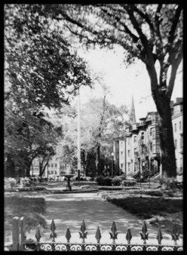 Union Park Vignette