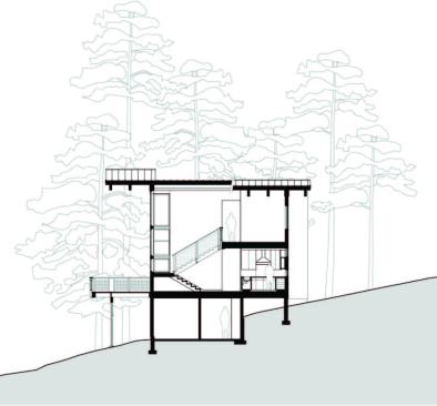 Site+plan+of+Ferris+Cabin+provided+by+Patano+Studio.