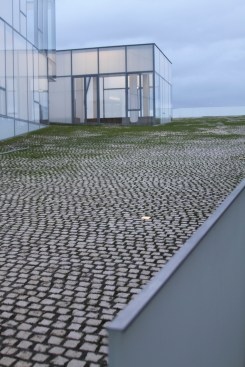 Looking across the roof at one of the upper level entrances.