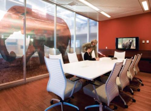 There are no corridors in a traditional sense in the IFAW headquarters. Instead, there is what the architects call an "exhibit trail," which meanders through the interior. At 13 points along the trail, text and graphics explain the IFAW's mission and the building's key environmental strategies. One of the graphics, an elephant, is visible from inside a conference room.