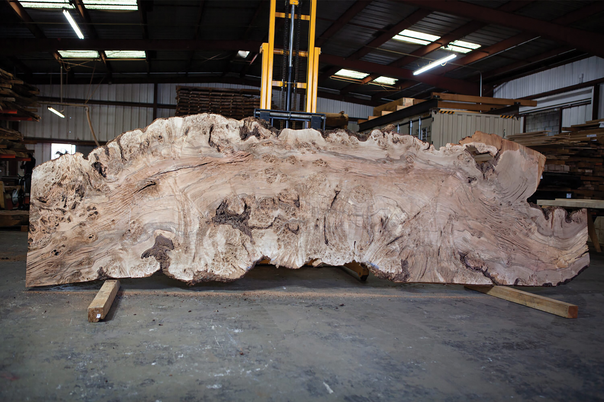 Designers Select: Landscape Products