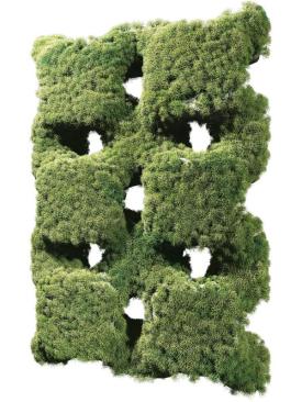 Populated with ivy