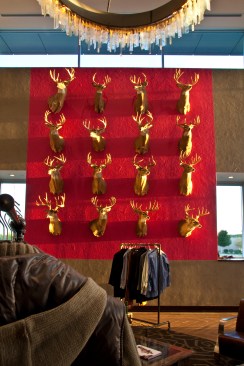 Main level gallery display details