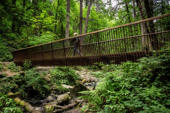 Wildwood Trail Bridge