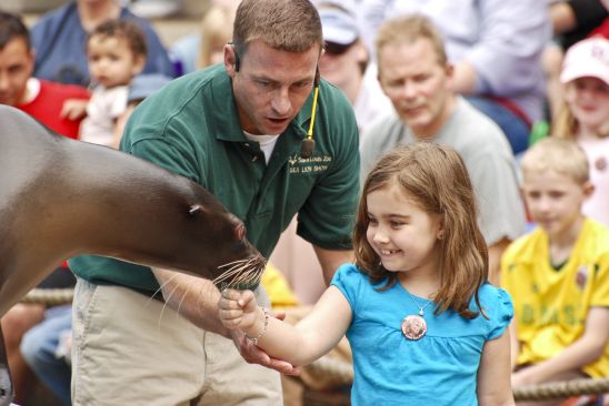 Daily Sea Lion Show