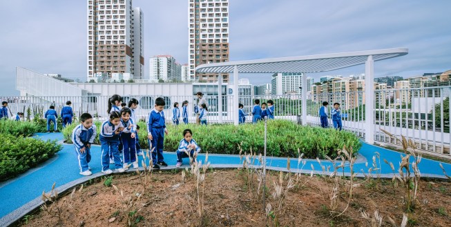 plant observation experience