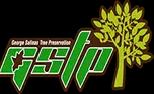 Elk Grove Tree Service Experts
