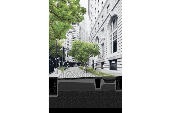 Typical+street+section.