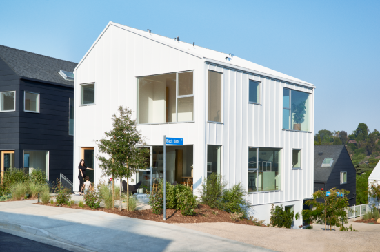 Blackbirds: A High-Style, High-Density Development