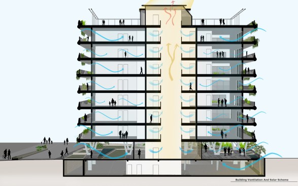 Perspective section