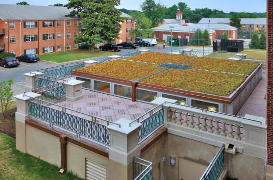 Green roof and clerestory above underground addition