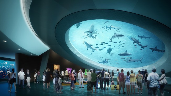 Mezzanine+of+Living+Core+Aquarium.