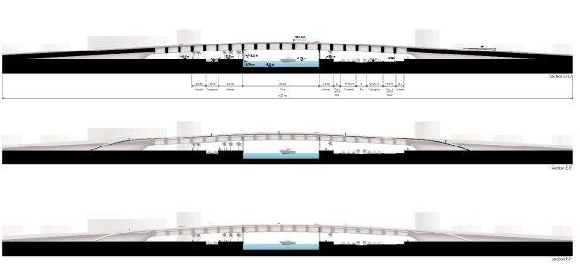 Longitudinal sections.