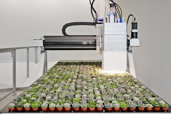A study in pixel farming, in which robots plant crops