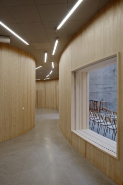 Arkitekturskolan, Tham Videgård