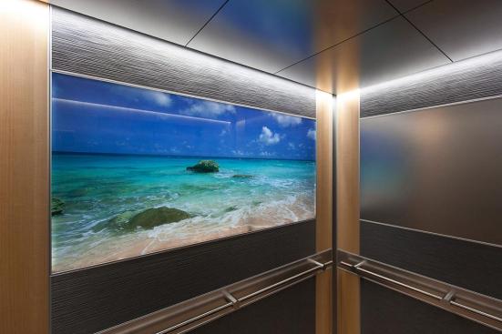 LEVELe-102 Elevator Interiors with LightPlane Panel in ViviGraphix Spectra glass with custom pattern interlayer and Standard finish; main panels in Bonded Aluminum with Dark Patina and Grass pattern; large accent panels in Stainless Steel with Sandstone finish; small accent panels in White Birch wood veneer at Florida Hospital Celebration Health, Celebration, Florida