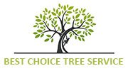 Tree Service Experts Pearland