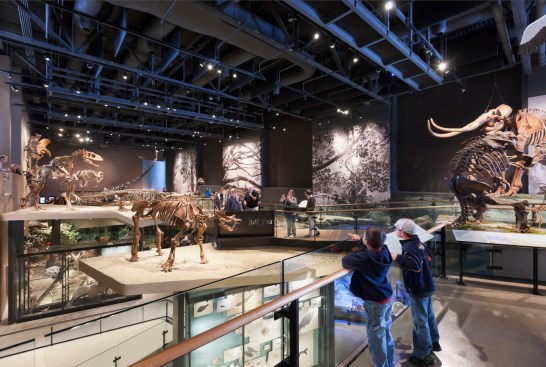 Natural+History+Museum+of+Utah