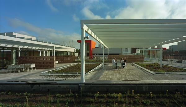 Roof garden